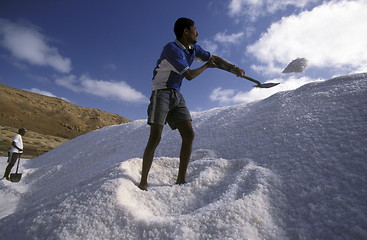 Image showing AFRICA CAPE VERDE SAL