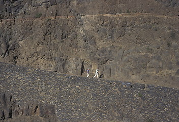 Image showing AFRICA CAPE VERDE SANTO ANTAO