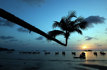 Image showing ASIA THAILAND KO TAO