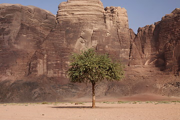 Image showing ASIA MIDDLE EAST JORDAN WADI RUM