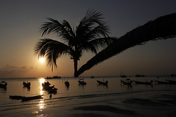 Image showing ASIA THAILAND KO TAO