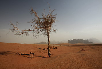 Image showing ASIA MIDDLE EAST JORDAN WADI RUM