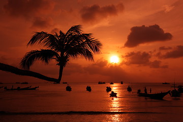 Image showing ASIA THAILAND KO TAO