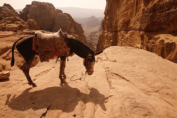 Image showing ASIA MIDDLE EAST JORDAN PETRA