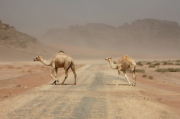 Image showing ASIA MIDDLE EAST JORDAN WADI RUM