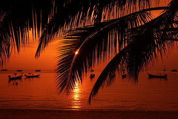 Image showing ASIA THAILAND KO TAO