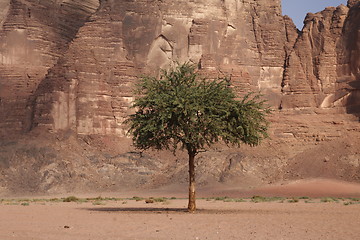 Image showing ASIA MIDDLE EAST JORDAN WADI RUM