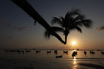 Image showing ASIA THAILAND KO TAO