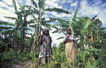 Image showing AFRICA COMOROS ANJOUAN