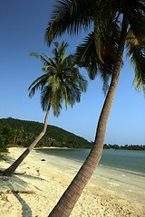 Image showing ASIA THAILAND CHUMPHON BEACH