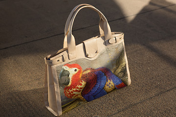 Image showing women bag with color print 