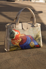 Image showing women bag with color print 