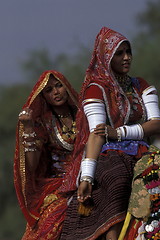 Image showing ASIA INDIA RAJASTHAN