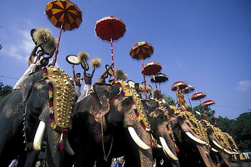 Image showing ASIA INDIA KERALA