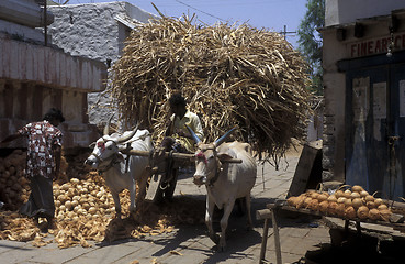 Image showing ASIA INDIA KARNATAKA