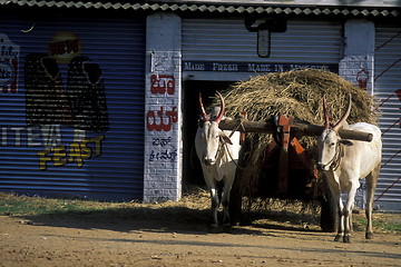 Image showing ASIA INDIA KARNATAKA