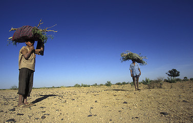 Image showing ASIA INDIA RAJASTHAN