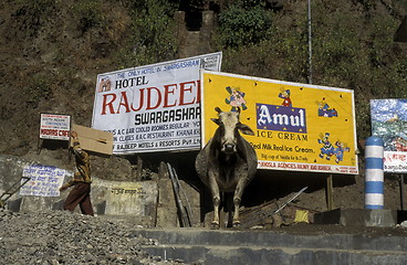 Image showing ASIA INDIA RISHIKESH