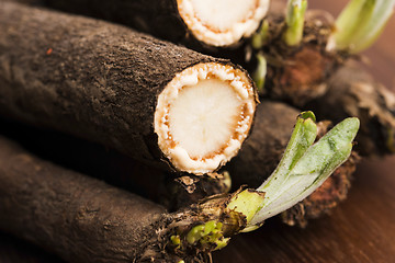 Image showing salsify vegetables on wood 