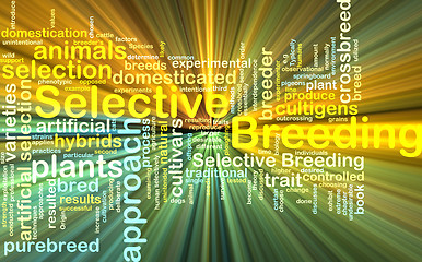 Image showing selective breeding wordcloud concept illustration glowing