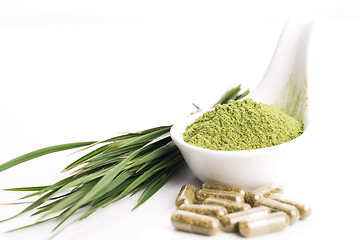 Image showing Young barley grass. Detox superfood.