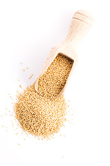 Image showing Raw Organic Amaranth Grain