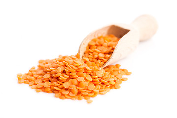 Image showing Lentils Isolated on White Background