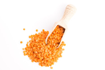 Image showing Lentils Isolated on White Background