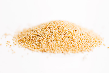 Image showing White poppy seeds