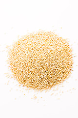 Image showing White poppy seeds