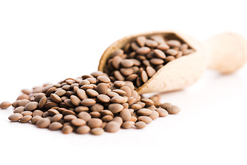 Image showing Lentils Isolated on White Background