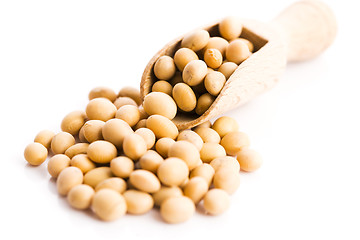 Image showing soya beans