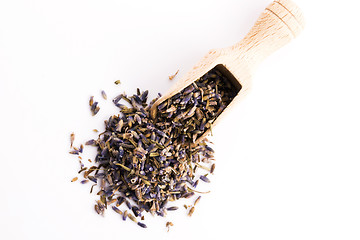 Image showing Lavender Herb Bud Flower tea Heap pile surface top view isolated
