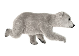 Image showing Polar Bear Cub