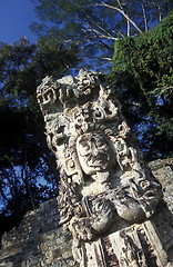 Image showing LATIN AMERICA HONDURAS COPAN