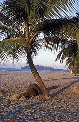 Image showing LATIN AMERICA HONDURAS CARIBIAN SEA