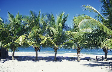 Image showing LATIN AMERICA HONDURAS CARIBIAN SEA