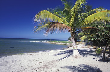 Image showing LATIN AMERICA HONDURAS CARIBIAN SEA