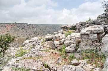 Image showing Spring season landscape