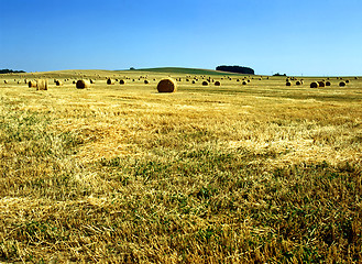 Image showing Straw bales