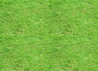 Image showing Seamless tileable texture - green grass meadow