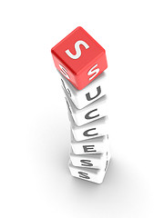 Image showing Success puzzle word