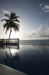 Image showing infinity pool with float caribbean sea