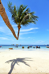 Image showing  in  kho tao thailand bay asia isle   beach  