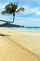Image showing isle  asia in  kho phangan thailand   sea 