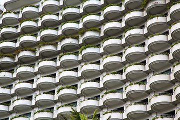 Image showing   window plant terrace of the centre  bangkok thailand