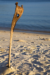 Image showing asia sunrise in  kho   thailand     rocks  cane and south china 