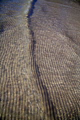 Image showing   and the beach abstract thailand kho tao  