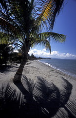 Image showing LATIN AMERICA HONDURAS CARIBIAN SEA