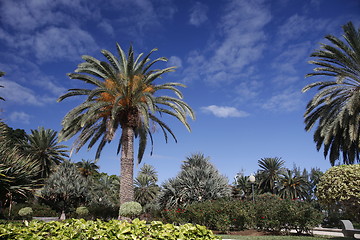 Image showing EUROPE SPIAN GRAN CANARY 